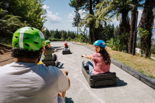 Skyline Luge