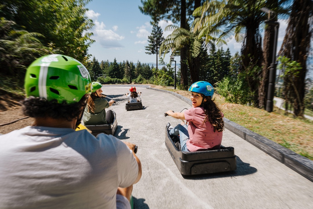 Skyline Luge